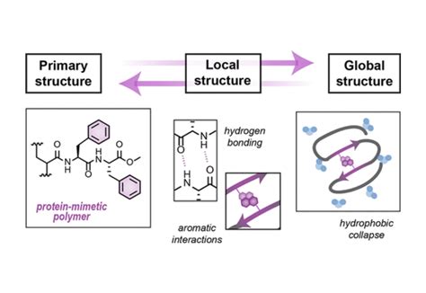 Controlling Amphiphilic Polymer Folding Beyond The Primary Structure