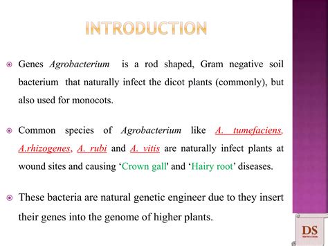 Agrobacterium Mediated Gene Transfer Ppt