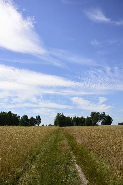 Dorf Ernte Sommer Kostenloses Foto Auf Pixabay Pixabay