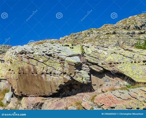 Tende Bronze Age Rock Engravings Carvings Or Petroglyphs Of Bulls In