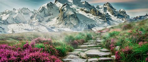 Mountains With Flowers Wallpapers Top Free Mountains With Flowers