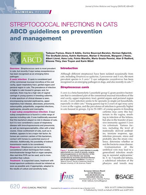 Streptococcal Infections In Cats Abcd Guidelines On Prevention And Management Docslib