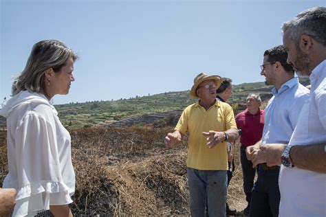 Vanoostende Visita Las Zonas Agrarias De San Juan De La Rambla Y Los