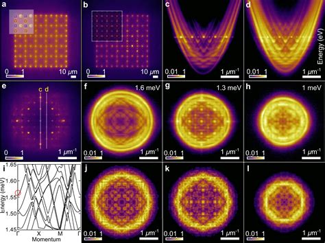 Optically Generated Quantum Fluids of Light Reveal Exotic Matter-Wave ...