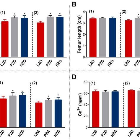 Food Intake Body Weight And Serum Zinc Concentration In Two