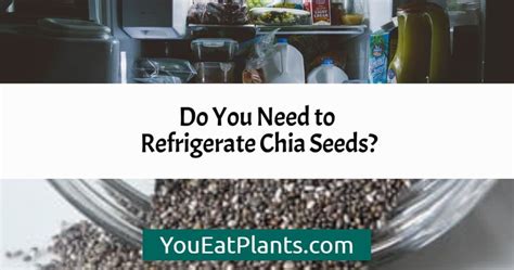 How To Store Chia Seeds Once Opened