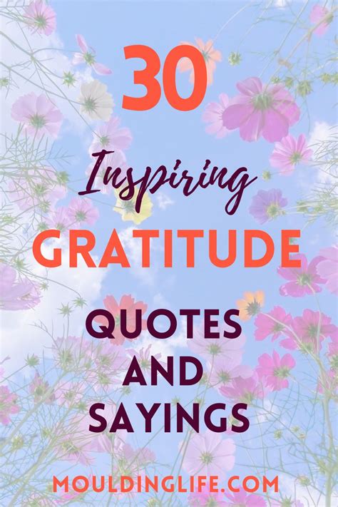 30 Powerful Gratitude Quotes To Inspire You To Practice Gratitude