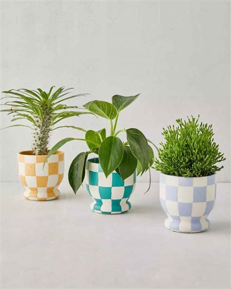 15 Favorite Cactus Plant Pots (2023 Buying Guide)