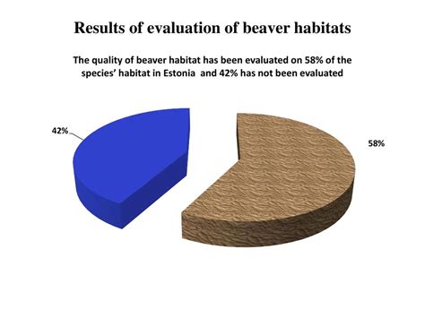 Impact Of Beaver Populations On Drainage System Outflows Ppt Download