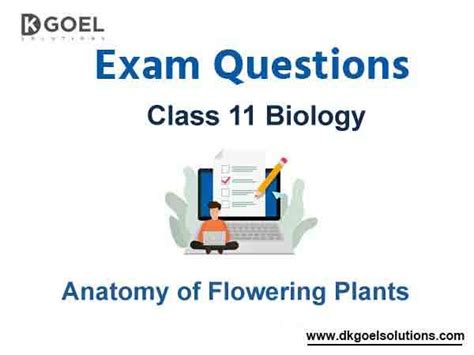 Exam Question For Class 11 Biology Chapter 6 Anatomy Of Flowering Plants