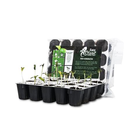 Beginner Cannabis Grow Kit - Royal Queen Seeds