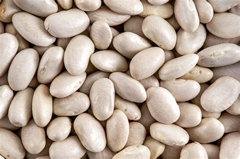 Haricot Beans Closeup Shot Common White Beans Food Backgrounds Stock