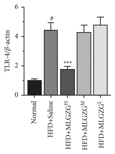 Mlgzg Inhibits The Tlr Traf Nf B Pathway In Nash Livers A