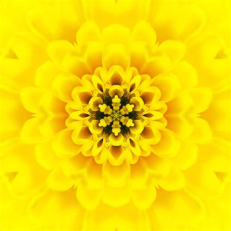 Yellow Color Meaning: Yellow Color Psychology and Symbolism – Pamela Arsena