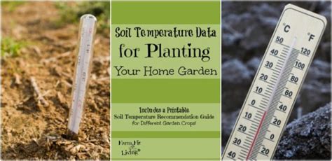 Soil Temperature Data For Planting Home Gardens Farm Fit Living