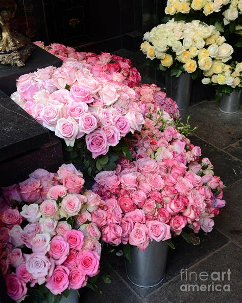 Paris Dreamy Pink Roses - Paris Romantic French Market Roses - Paris ...