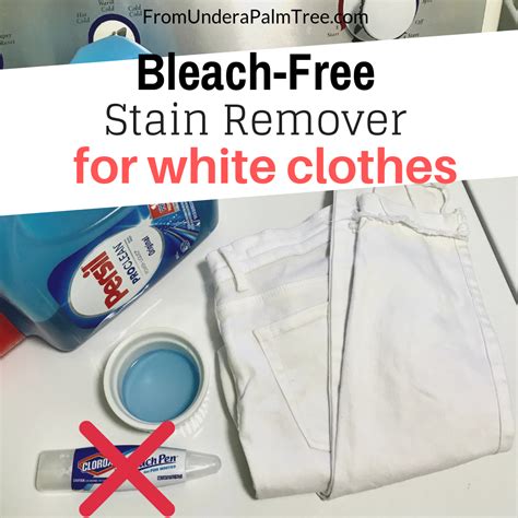 Bleach-Free Stain Remover for White Clothes > From Under a Palm Tree