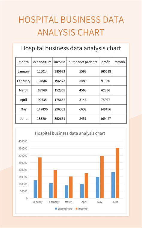 Hospital Business Data Analysis Chart Excel Template And Google Sheets
