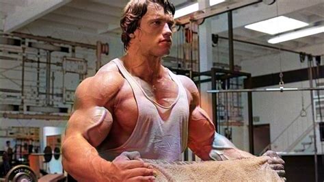 Arnold Schwarzenegger Muscle