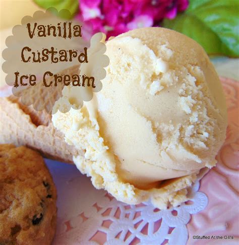 Best Homemade Vanilla Custard Ice Cream Recipe At Glenda Erdman Blog