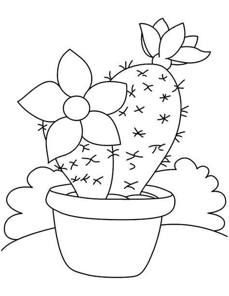 Riscos E Desenhos Desenhos De Cactus E Suculentas