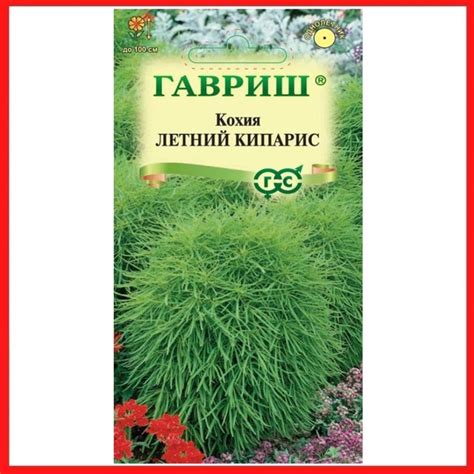 Кохия Гавриш Кохия веничная "Грин Форест" - купить по выгодным ценам в ...