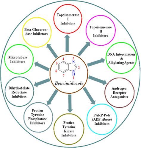 Different Targets Of Benzimidazole As Anticancer Agents Download Scientific Diagram