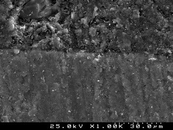 SEM photograph of resin–enamel interfaces with Transbond™ Plus ...