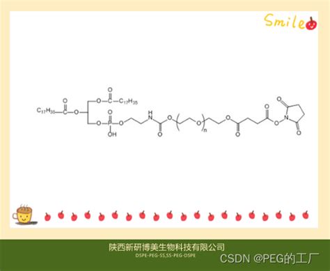 修饰肽类化合物试剂——dspe Peg Ssss Peg Dspe磷脂peg琥珀酰亚胺戊二酸酯 Csdn博客