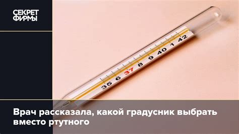 Виды градусников: чем заменить ртутный термометр: Жизнь — Секрет фирмы