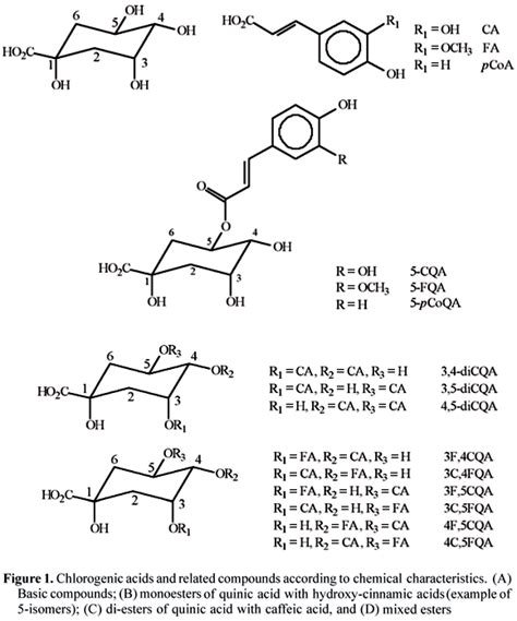 SciELO Brasil Phenolic Compounds In Coffee Phenolic Compounds In Coffee