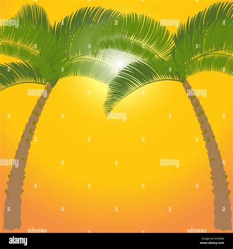 Two Palm Tree On Orange Background Illustration Stock Vector Image