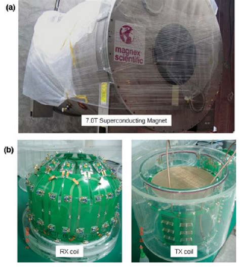 (a) A photograph of the superconducting magnet for installation of 7.0 ...