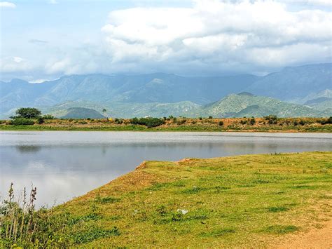 lovely pic pic images pixabay