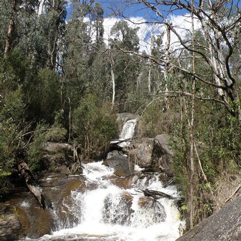 Murrindindi Scenic Reserve Yea All You Need To Know