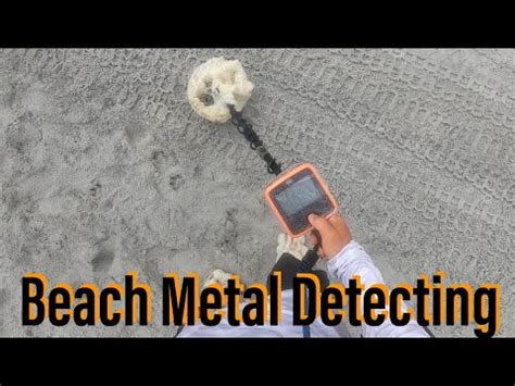 Beach Metal Detecting Whites Electronics Mx Live Digs Things To Do