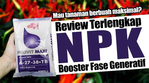 Mau Tanaman Berbuah Maksimal Cara Pakai Pupuk Booster Generatif Npk