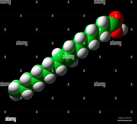 Elaidic Acid Computer Model Of A Molecule Of Elaidic Acid A Trans