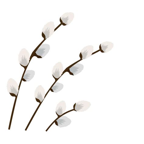 Pussy Willow Branches Wallpaper