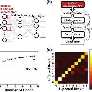 Software Simulation For Pattern Recognition A Schematic Of A Spiking