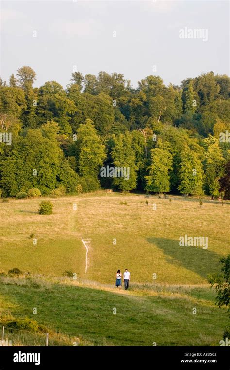 Tring Park - Hertfordshire Stock Photo - Alamy