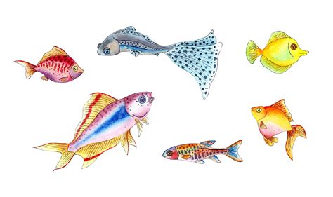 premium photo large set  watercolor illustrations  small colorful