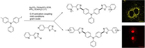 Convergent And Practical Synthesis Of Fluorescent Triphenylamine