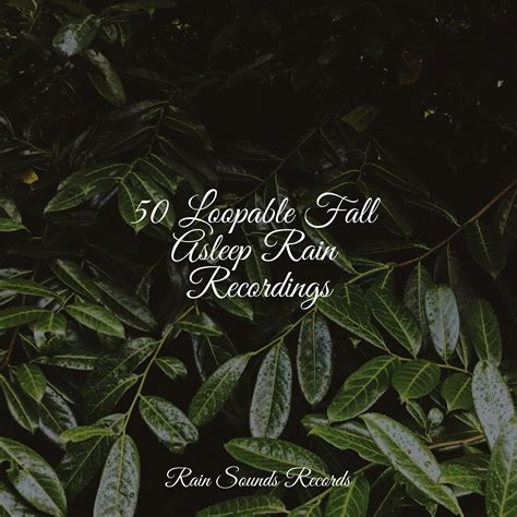 50 Loopable Fall Asleep Rain Recordings Sonido Del Bosque Y