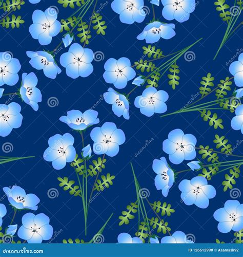 Nemophila Baby Blue Eyes Flower On White Background. Vector ...