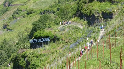 Wanderweg Zippammers Welt Ist Teilweise Gesperrt Traben Trarbach