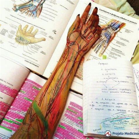 How To Study Anatomy In Medical School - Anatomy Book