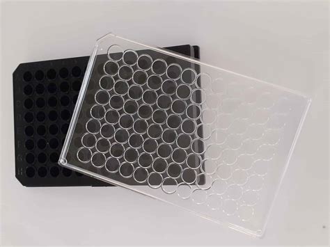 Tissue Culture Treated Well Plates Sterile Biomat