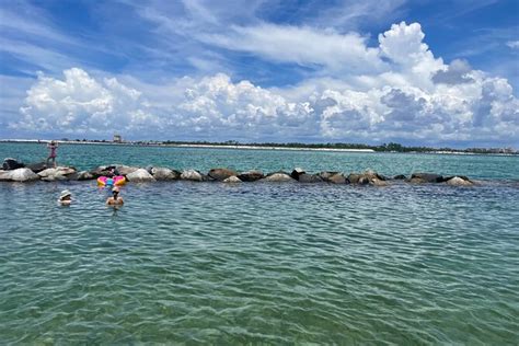 Shell Island Adventure For 3 Hours Dolphin Tour And Snorkeling