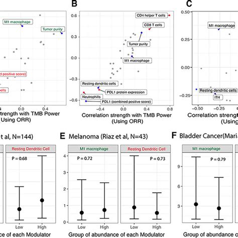 Ici Response Of Tmb High Vs Tmb Low Groups For Different Cancer Types Download Scientific